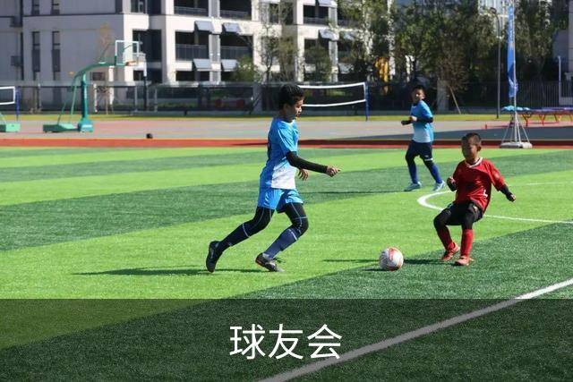 球友会公司介绍图片